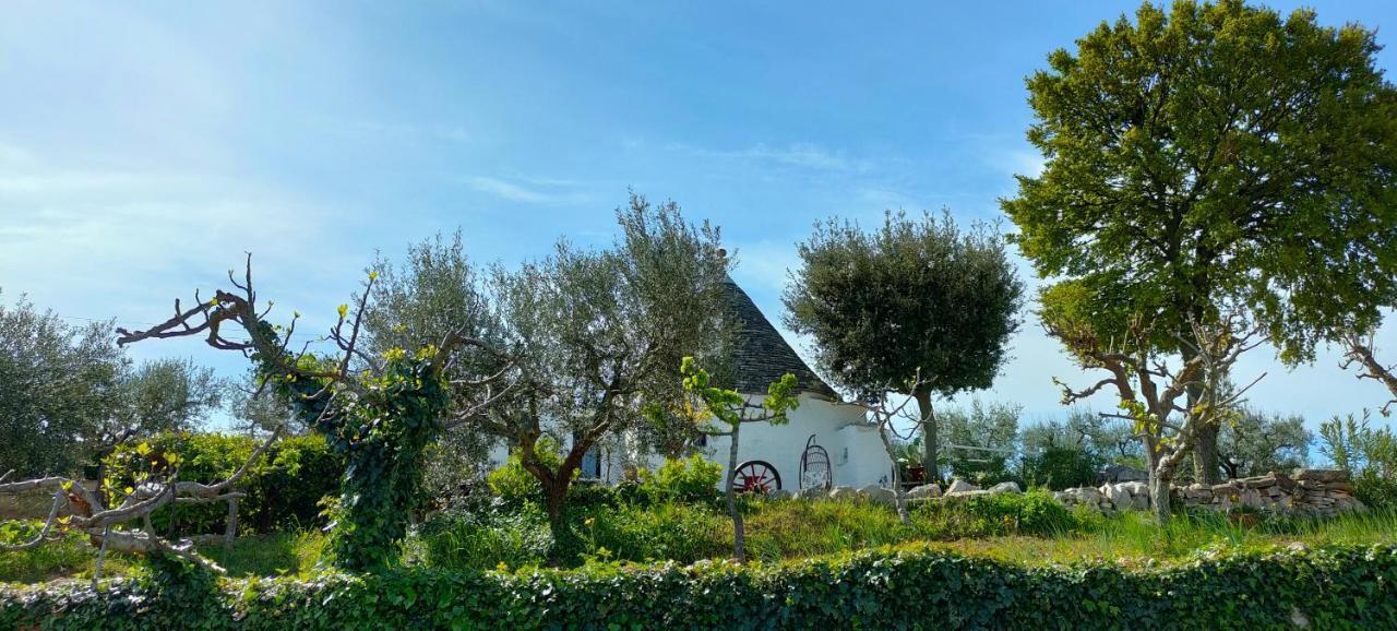 Antico Trullo Immerso Nella Campagna Holiday home *