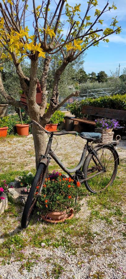 Holiday home Antico Trullo Immerso Nella Campagna Alberobello